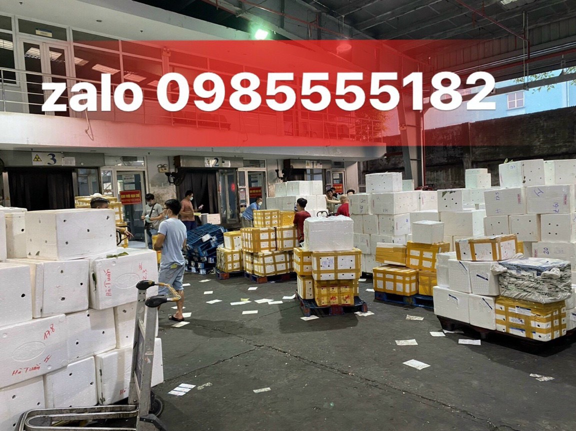 backgroup giới thiệu